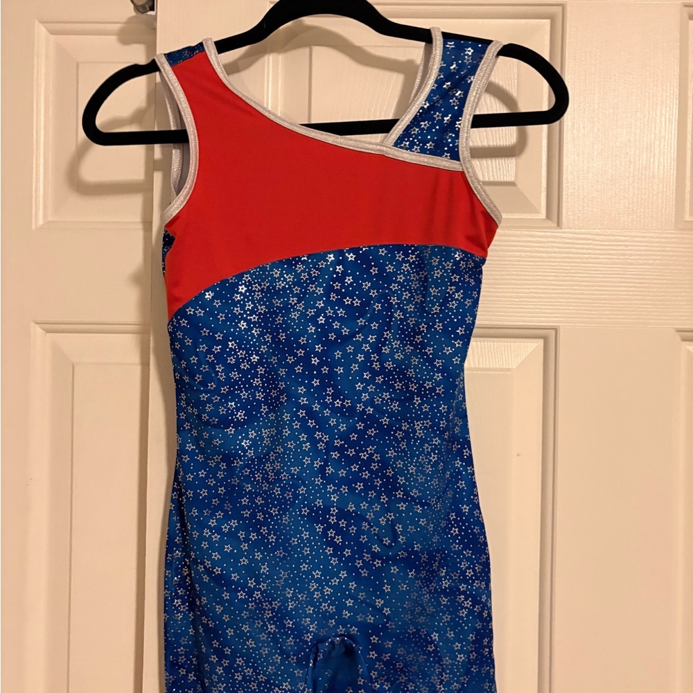 Danskin Red and Blue Leotard with Star Accents